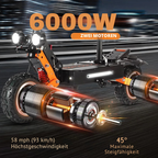 Motovolt